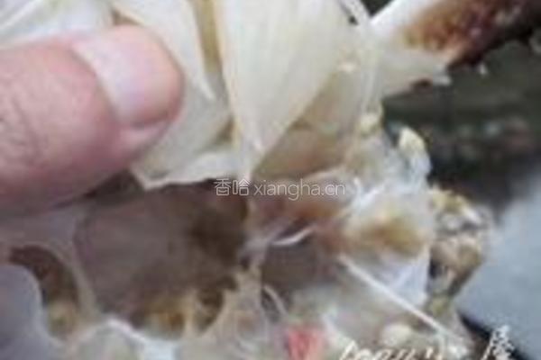 梭子蟹炒年糕的做法图解10
