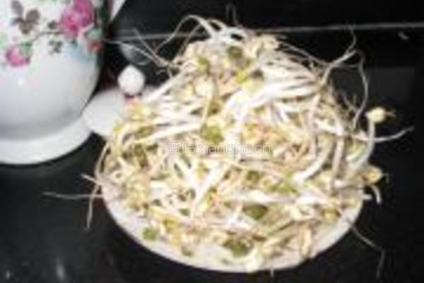我用茶壶发绿豆芽的做法图解5
