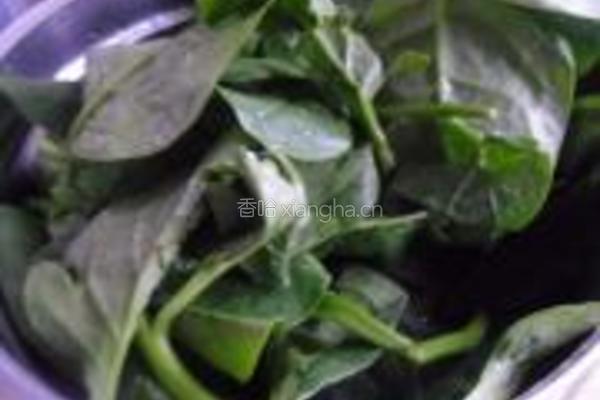 蒜蓉木耳菜的做法图解1