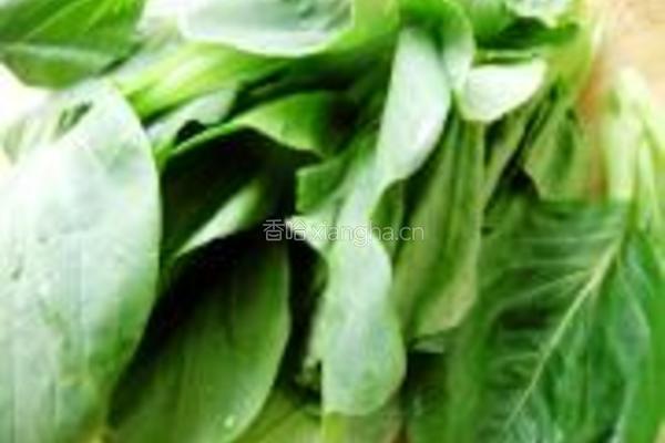 生炒油菜的做法图解1
