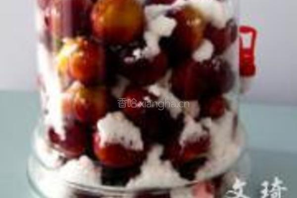 李子酒的做法图解4