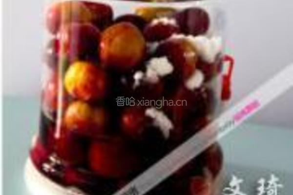 李子酒的做法图解5