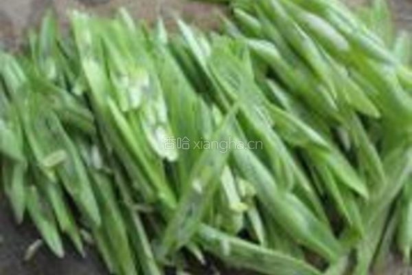 蒜蓉芸豆丝烩烤鸭的做法图解2
