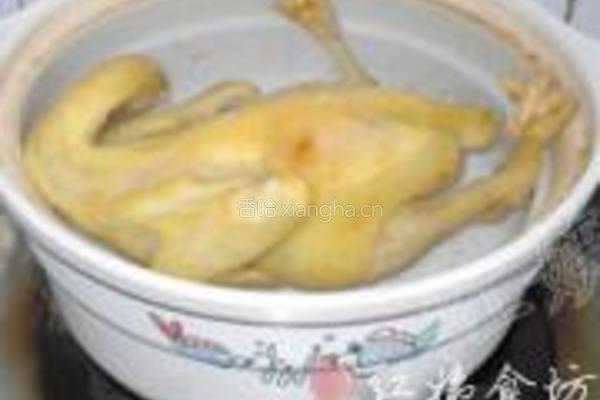 紫灵芝炖鸡的做法图解7