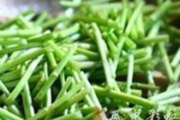 藜蒿香干的做法图解3