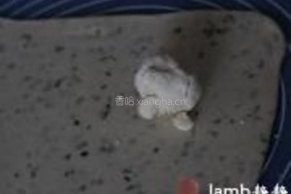 海苔苏打饼干的做法图解9