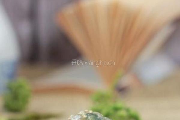 长寿菜