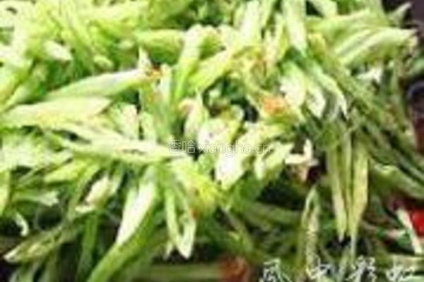 鱼香豆角的做法图解5