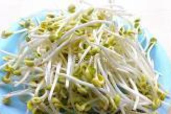 凉拌黄豆芽的做法图解1