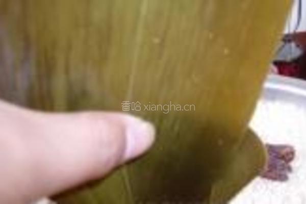 蜜枣粽子的做法图解4