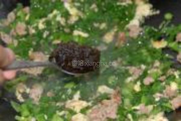 榄菜肉末炒芥兰叶的做法图解6
