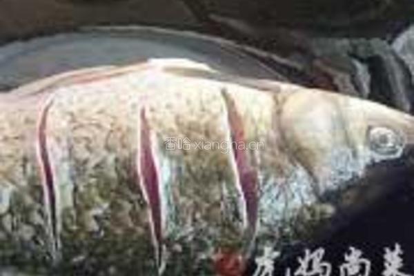 草鱼汤的做法图解1