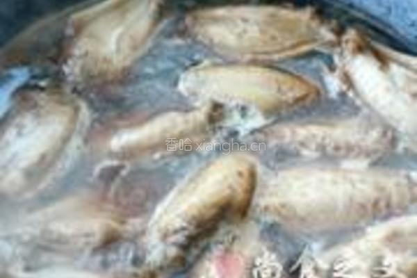 可乐鸡翅的做法图解5