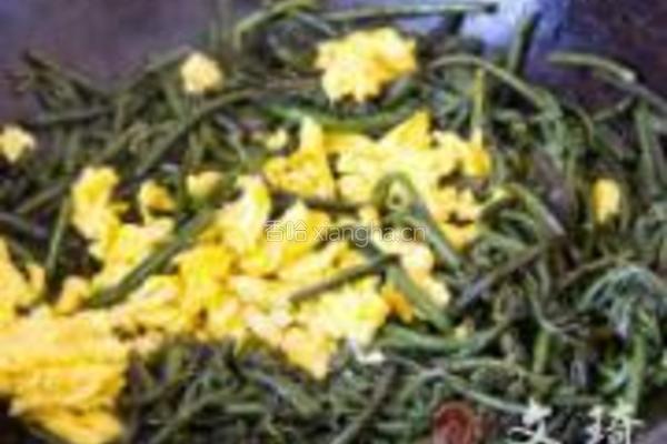 炒蕨菜的做法图解4
