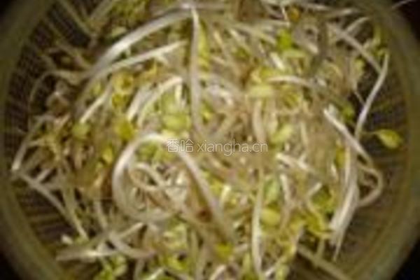 黄豆酱拌炒黄豆芽的做法图解2