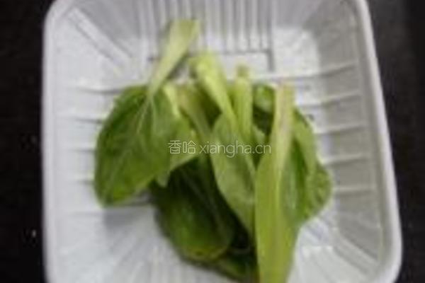 腐乳平菇的做法图解3