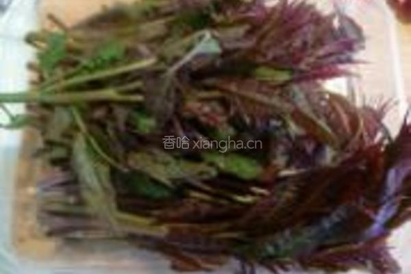香椿煸鱼籽的做法图解3