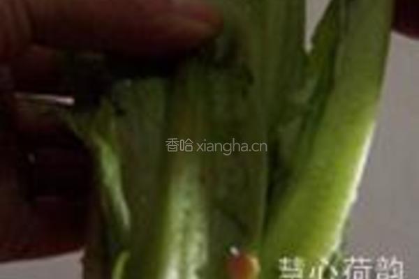豆豉鲮鱼油麦菜的做法图解1