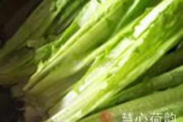 豆豉鲮鱼油麦菜的做法图解2