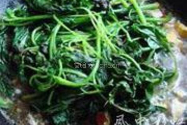 上汤苋菜的做法图解4