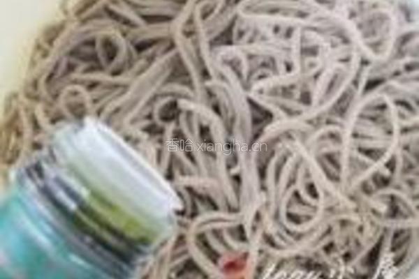 荞麦凉面的做法图解15