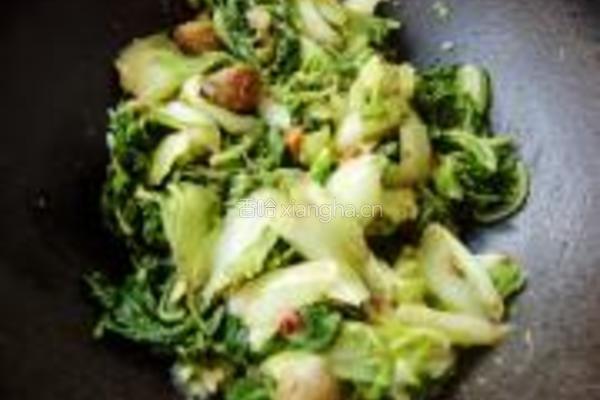 白菜烧板栗的做法图解6