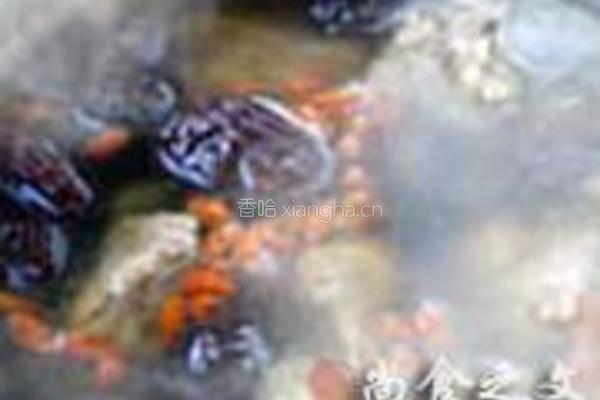 红枣杞菊猪骨汤的做法图解3