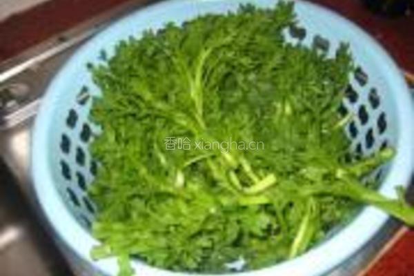 猪肉茼蒿馅饺子的做法图解1