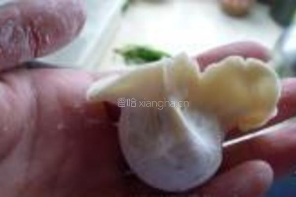 鲅鱼饺子的做法图解10