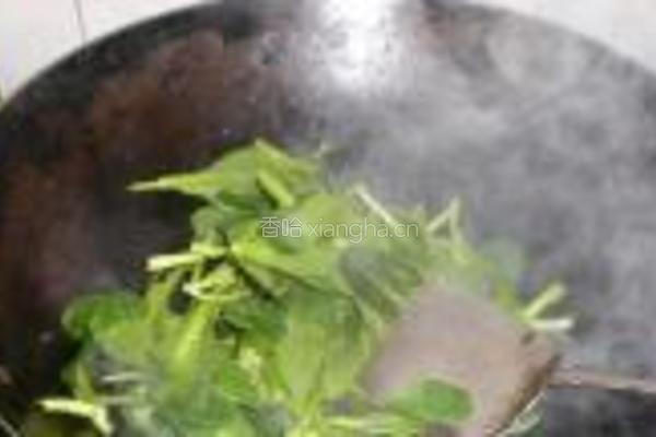 青菜牛肉面的做法图解8