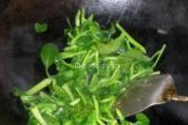 青菜牛肉面的做法图解9