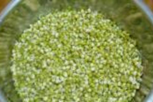 泡发绿豆芽的做法图解8