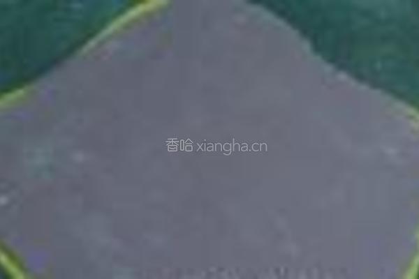 南瓜紫薯馍头的做法图解10