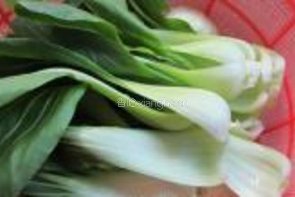 青菜咸肉饭的做法图解4