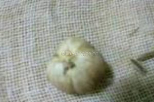 酱板鸭的做法图解5