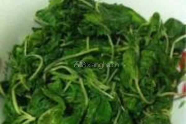 蒜香麻叶的做法图解4