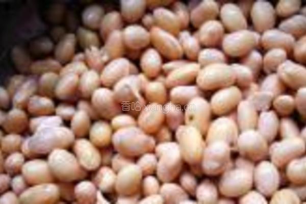 自发黄豆芽的做法图解8