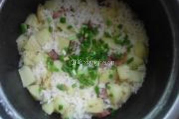 土豆腊肠焖饭的做法图解10