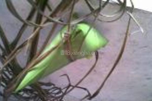 黑豆花生粽的做法图解10