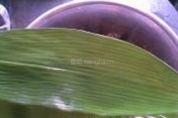 黑豆花生粽的做法图解7