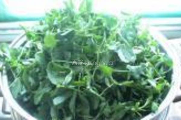 苜蓿麦饭的做法图解1