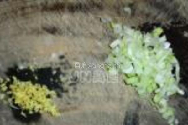 猪肉炸酱面的做法图解5
