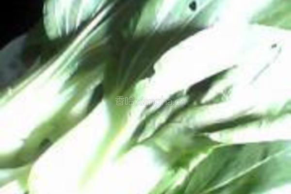 素炒油菜的做法图解1