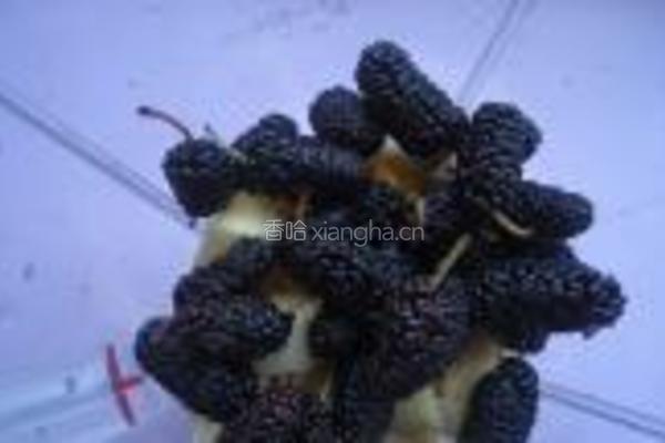 桑葚香蕉奶昔的做法图解5