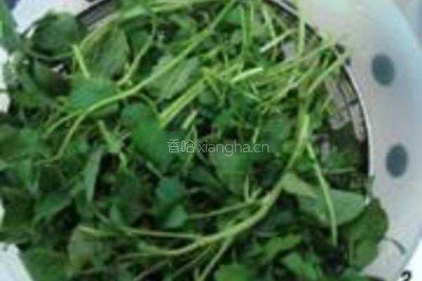 鲫鱼西洋菜汤泡饭的做法图解2