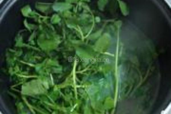 鲫鱼西洋菜汤泡饭的做法图解9