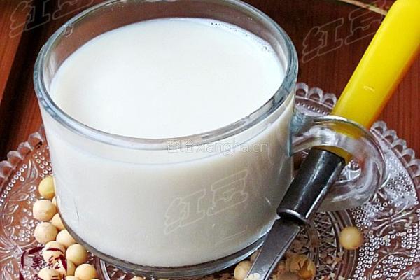 麦芽豆浆