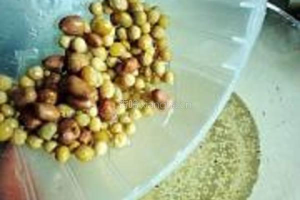麦芽豆浆的做法图解4