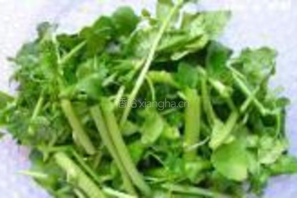 剥皮鱼西洋菜粥的做法图解4