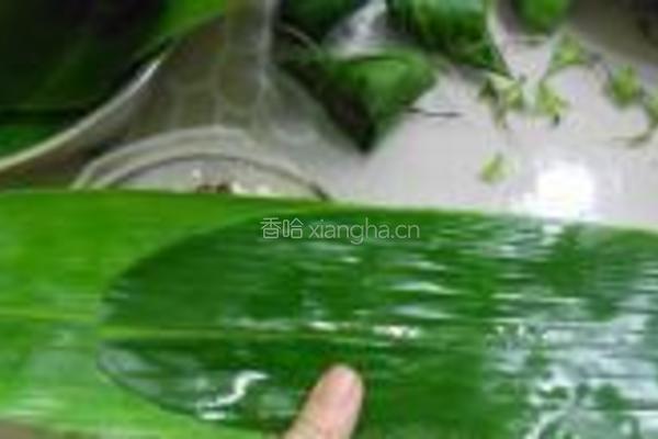 红豆粽的做法图解4